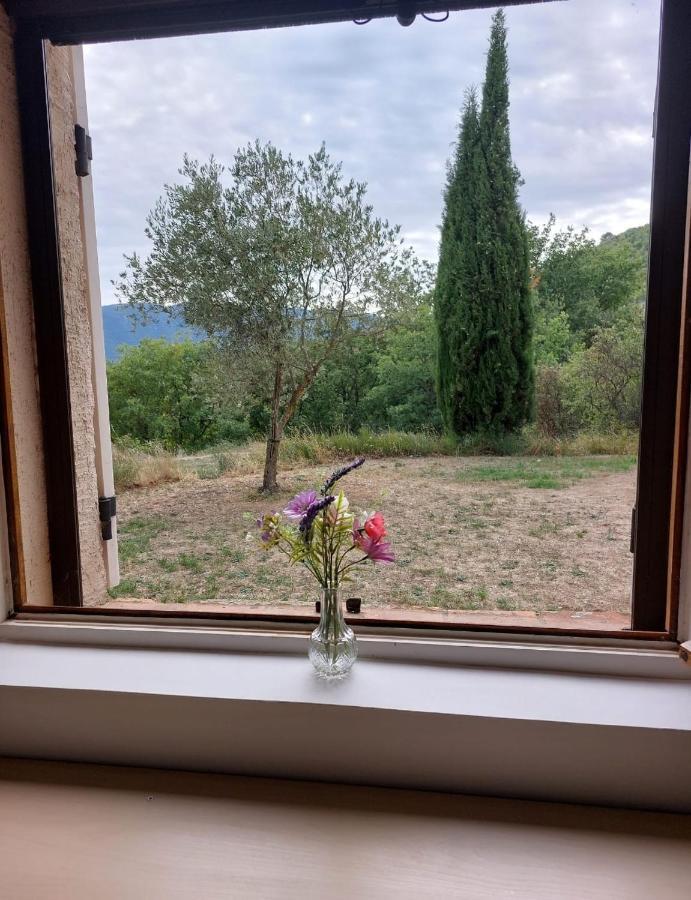 Logement D'Exception Pres Du Colorado Provencal Dans Une Residence Au Calme Avec Piscine Offrant Une Vue Imprenable Sur Le Luberon Depuis Sa Terrasse Viens Eksteriør billede